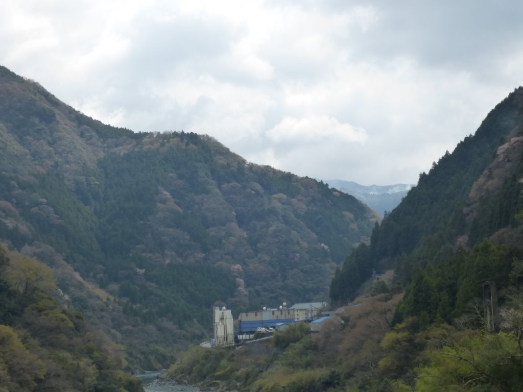 西祖谷山村 写真