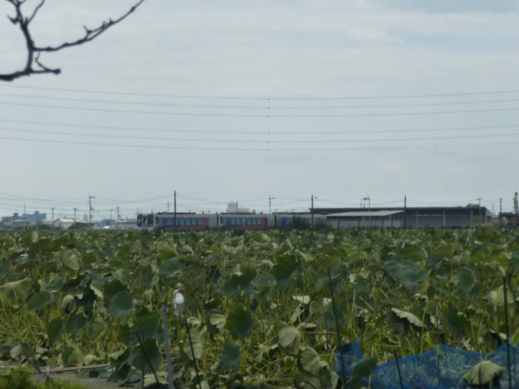 鳴門市の風景 写真