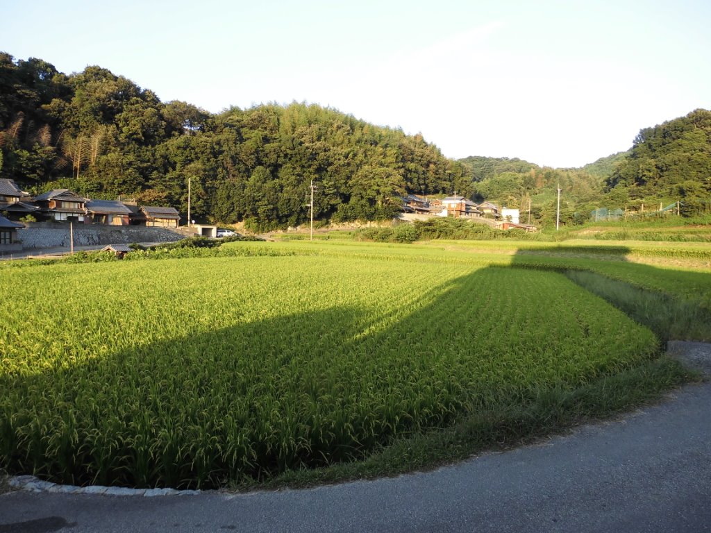 まわりは畑 写真