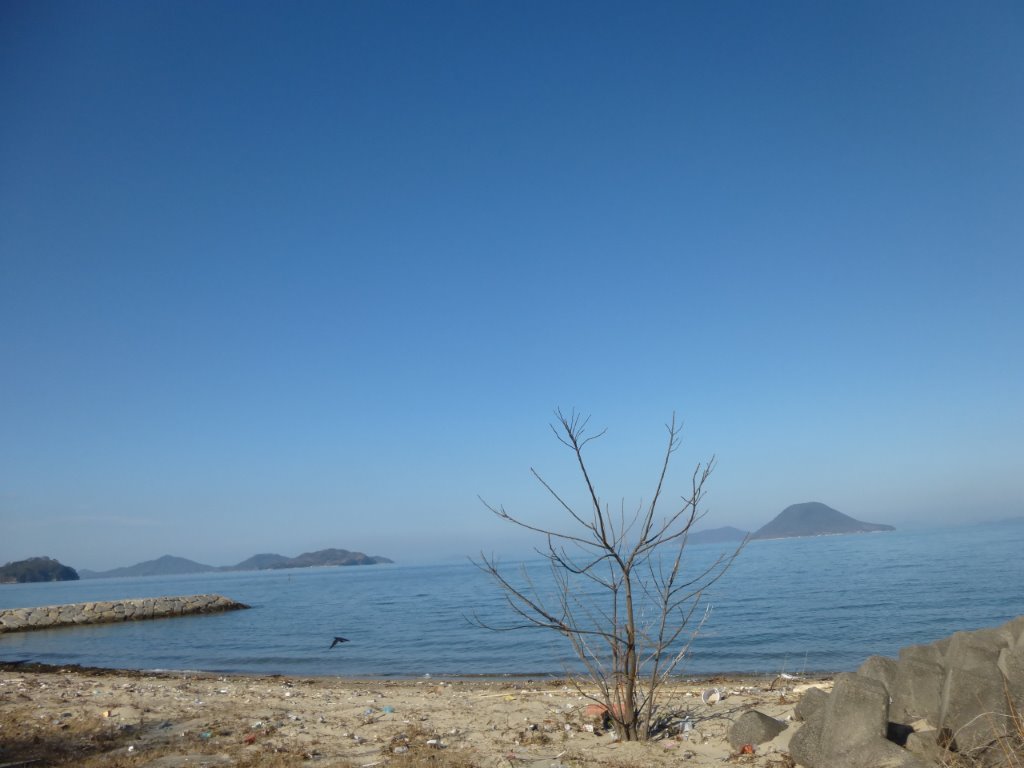 瀬戸内海 写真