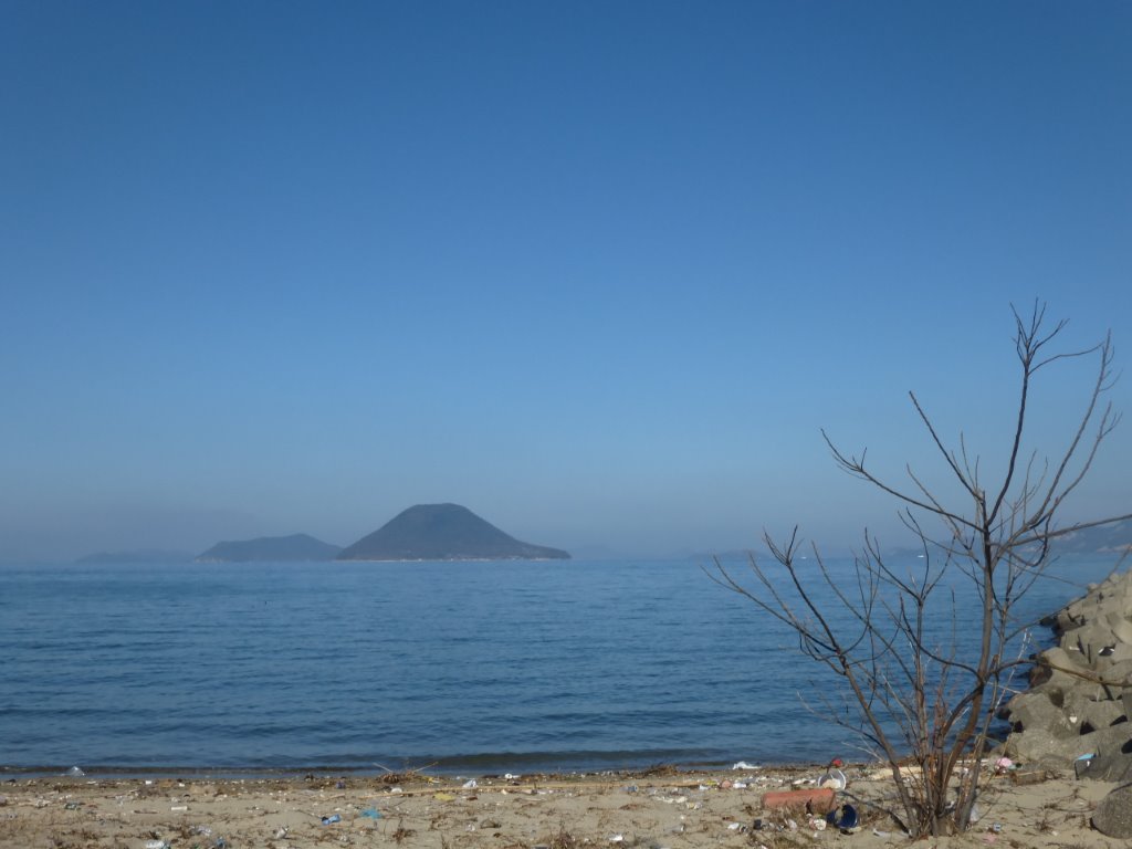 高見島 写真