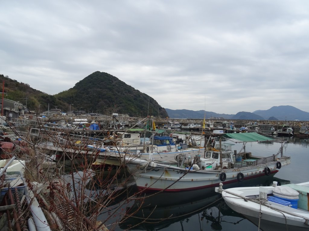 水産業 写真