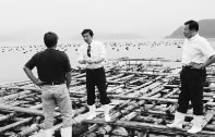 写真：山本ひろし、宇和島市の真珠養殖業者を訪れて