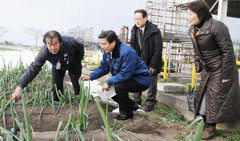 白ネギの被害状況を視察する山本（博）氏（中央）ら＝9日　鳥取・米子市