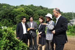 柑橘類の有機農園で、離島での農業の課題を聞く遠山、山本（博）の両氏ら＝４日　広島・大崎上島町