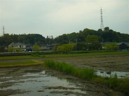 柳井市の風景