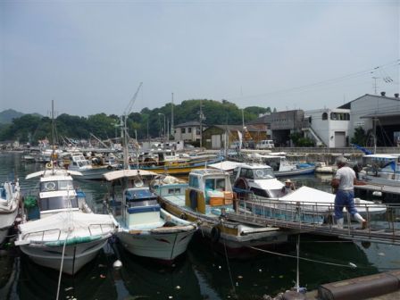 三津浜漁港
