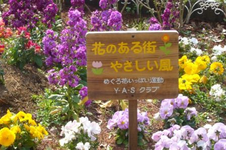 彩り豊かな春の花々