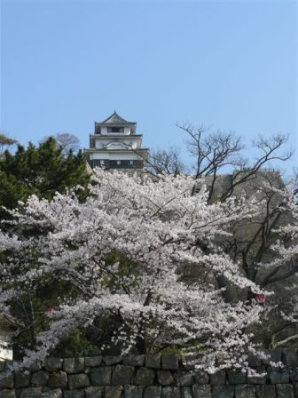 桜満開の丸亀城