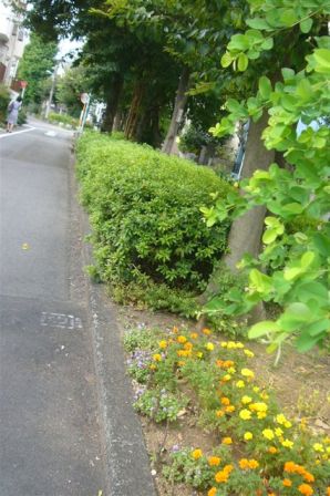 目黒区風景