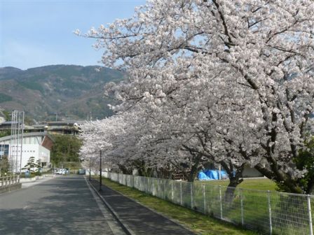 丸山公園 (三好市)