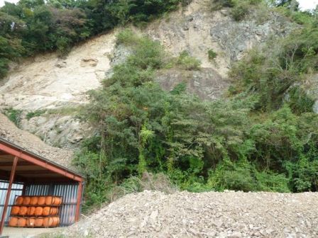 裏山の現場
