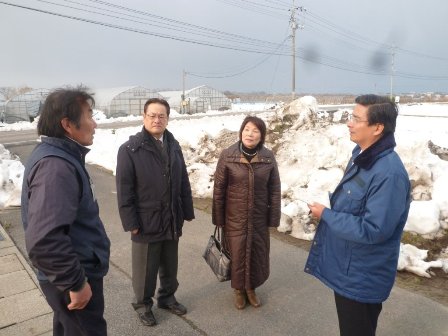 米子市 安木市議・笠谷市議と白ねぎ被害を視察