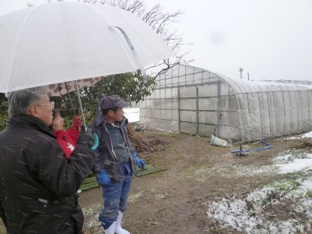 JAやすぎ近田部会長と