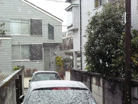 大雪の東京