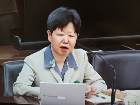 大沢真理参考人