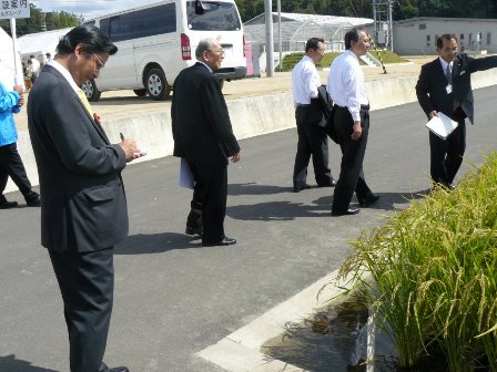 香系8号の説明のメモをとる