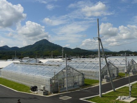屋外の温室