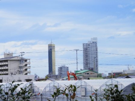 宇多津町の風景