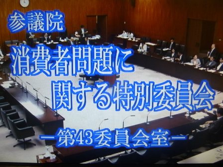 消費者問題に対する特別委員会