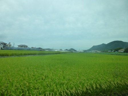 観音寺市の風景