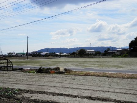藍住町の景色