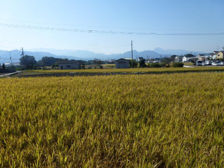 東温市風景