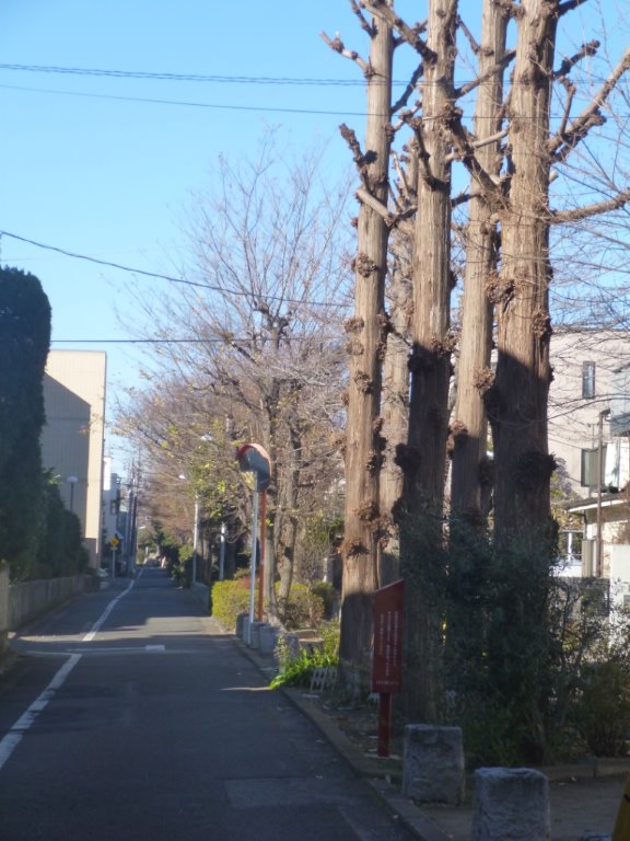 目黒の緑道