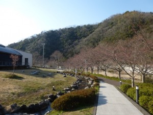 早春の塩江美術館