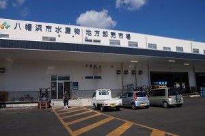 八幡浜市水産物地方卸市場