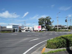 街頭演説（ハローズ円座店前）