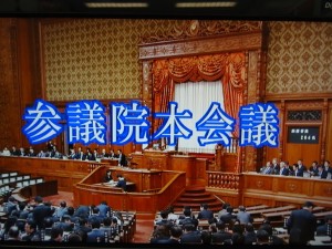 参議院本会議