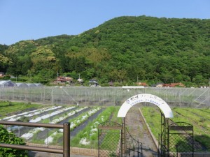 美祢市風景１道の駅