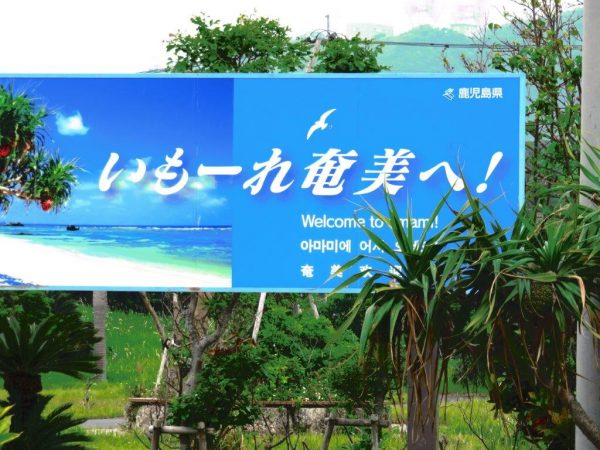 奄美大島視察レポート①公明党離島振興対策本部　9名の国会議員らが訪問（鹿児島県奄美大島）　　関連記事